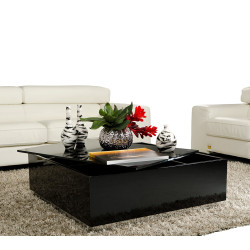 Modrest 857CT Modern Coffee Table with Storage