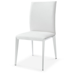Daytona - Modern Dining Chair - E131Y