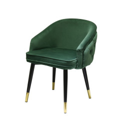 Modrest Elliot - Contemporary Green & Black/Gold Dining Chair (Set of 2)