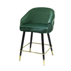 Modrest Elliot - Contemporary Green & Black/Gold Bar Stool (Set of 2)