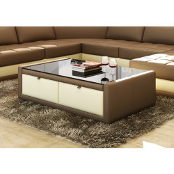 Divani Casa EV47 Modern Bonded Leather Coffee Table