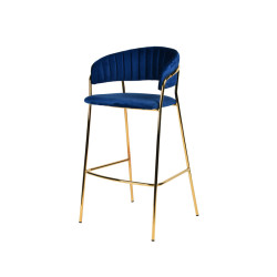Modrest Brandy Modern Blue Fabric Bar Stool (Set of 2)
