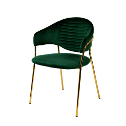 Modrest Trevor Modern Green Velvet & Gold Dining Chair (Set of 2)