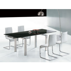 Pacific Modern Dining Table 