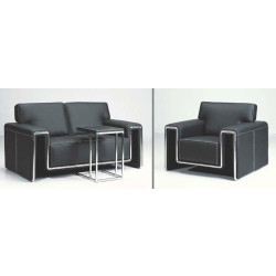 F33 Contemporary leather Sofa 