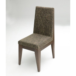Aura - Modern Tobacco Dining Chair (Set of 2)