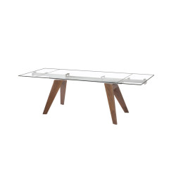 Modrest Musser Modern Extendable Glass & Walnut Dining Table