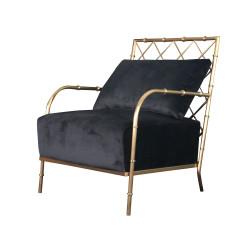 Divani Casa Ignacio - Glam Black Velvet & Gold Accent Chair
