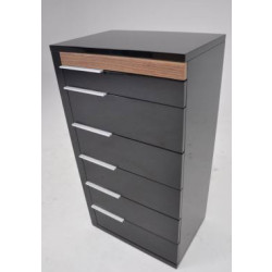 Modrest Alaska Modern Black and Walnut Chest