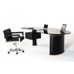 Modrest Robertson Modern Black and Walnut Office Desk