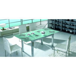 Frosted glass modern dining table 