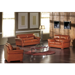 DM1049 Leather Sofa Bed and Loveseat