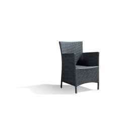 2019 arm chair w/2in cushion