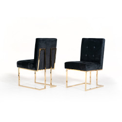 Modrest Legend Modern Black & Gold Dining Chair (Set of 2)