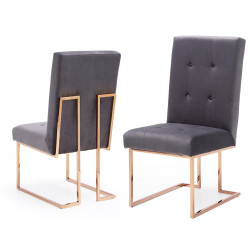 Modrest Legend - Modern Grey & Rosegold Dining Chair (Set of 2)