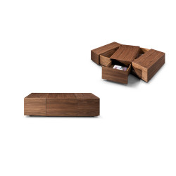 Modrest Leslie Modern Walnut Coffee Table