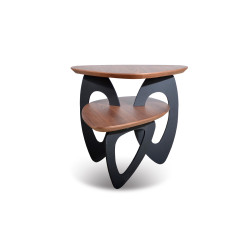 Modrest Sprig Modern Walnut End Table