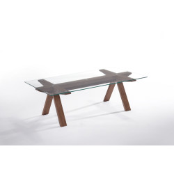 Modrest Maddox Modern Glass & Walnut Coffee Table