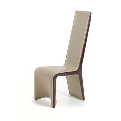Modrest Pacer - Modern Taupe & Ebony Dining Chair (Set of 2)