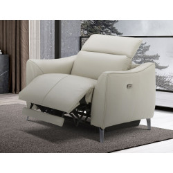 Divani Casa Prairie Light Grey Leather Electric Recliner with Electric Headrest