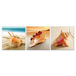 Modrest Shells 3-Panel Acrylic Painting