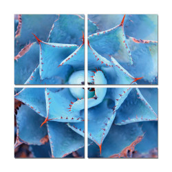 Modrest Succulent 4-Panel Acrylic Painting