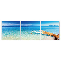 Modrest Driftwood 3-Panel Photo
