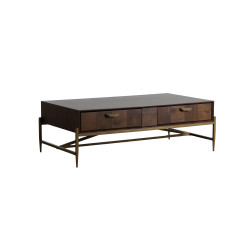 Modrest Shane - Modern Acacia & Brass Coffee Table