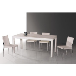 T061 Modern White Extendable Lacquer Table