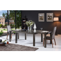 Modrest Galant Modern Grey Oak Extendable Dining Table