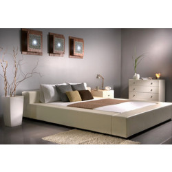 Prince Contemporary Platform bed 