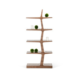 Modrest Timber Modern Walnut Bookcase
