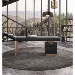 Modrest Trahan - Modern Grey Elm & Gold Office Desk