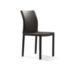 Y06 Modern dinging chair