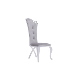 Modrest Bonnie Modern Grey Velvet & Stainless Steel Dining Chair (Set of 2)