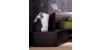 Gallery Image 195